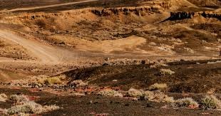 哈登狂砍40分快船力克雄鹿 太阳送奇才13连败